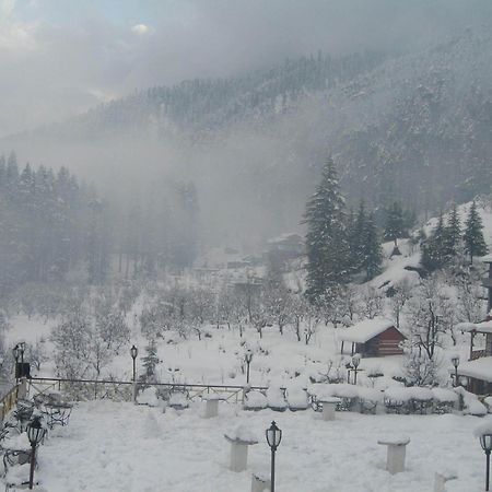Snow Valley Resorts & Spa Manali Esterno foto
